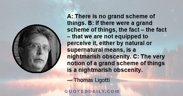 A: There is no grand scheme of things. B: If there were a grand scheme of things, the fact – the fact – that we are not equipped to perceive it, either by natural or supernatural means, is a nightmarish obscenity. C: