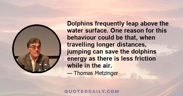 Dolphins frequently leap above the water surface. One reason for this behaviour could be that, when travelling longer distances, jumping can save the dolphins energy as there is less friction while in the air.