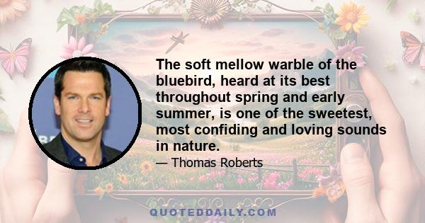 The soft mellow warble of the bluebird, heard at its best throughout spring and early summer, is one of the sweetest, most confiding and loving sounds in nature.