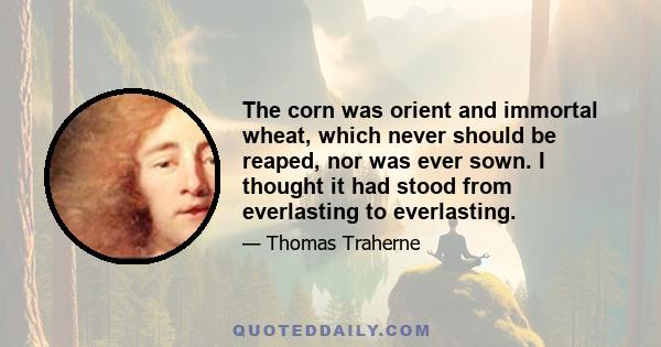 The corn was orient and immortal wheat, which never should be reaped, nor was ever sown. I thought it had stood from everlasting to everlasting.