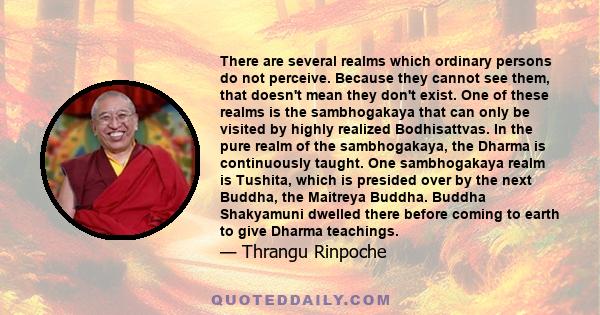 There are several realms which ordinary persons do not perceive. Because they cannot see them, that doesn't mean they don't exist. One of these realms is the sambhogakaya that can only be visited by highly realized