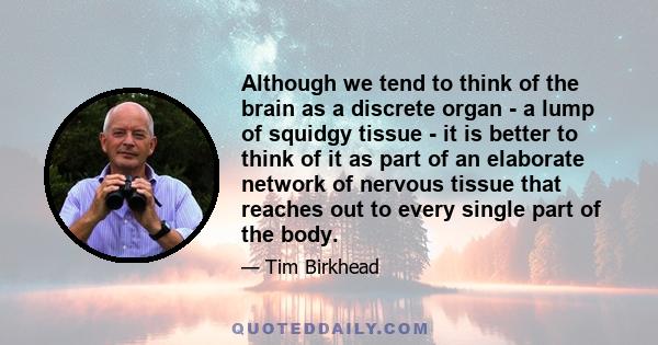 Although we tend to think of the brain as a discrete organ - a lump of squidgy tissue - it is better to think of it as part of an elaborate network of nervous tissue that reaches out to every single part of the body.