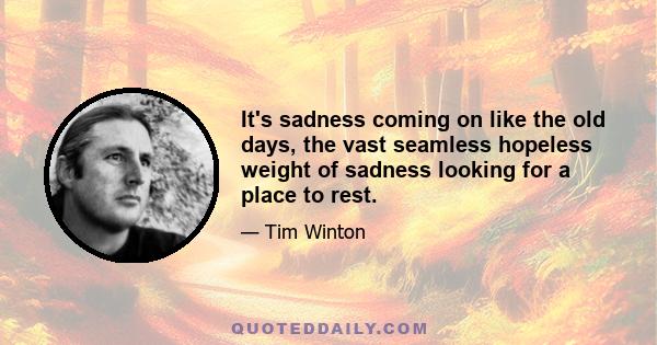 It's sadness coming on like the old days, the vast seamless hopeless weight of sadness looking for a place to rest.