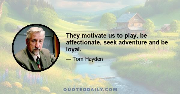 They motivate us to play, be affectionate, seek adventure and be loyal.