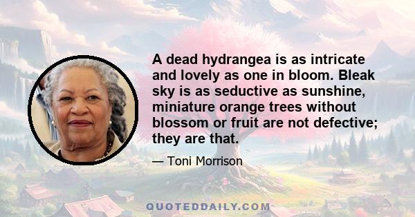 A dead hydrangea is as intricate and lovely as one in bloom. Bleak sky is as seductive as sunshine, miniature orange trees without blossom or fruit are not defective; they are that.