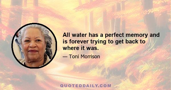 All water has a perfect memory and is forever trying to get back to where it was.