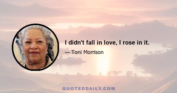 I didn't fall in love, I rose in it.