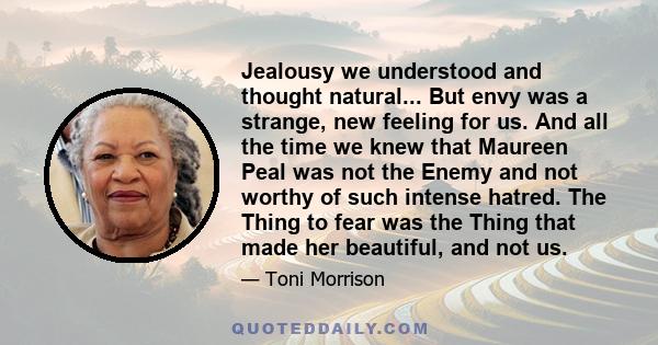 Jealousy we understood and thought natural... But envy was a strange, new feeling for us. And all the time we knew that Maureen Peal was not the Enemy and not worthy of such intense hatred. The Thing to fear was the