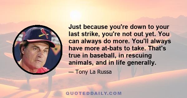 Just because you're down to your last strike, you're not out yet. You can always do more. You'll always have more at-bats to take. That's true in baseball, in rescuing animals, and in life generally.