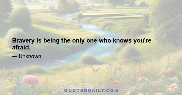 Bravery is being the only one who knows you're afraid.