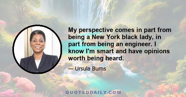 My perspective comes in part from being a New York black lady, in part from being an engineer. I know I'm smart and have opinions worth being heard.