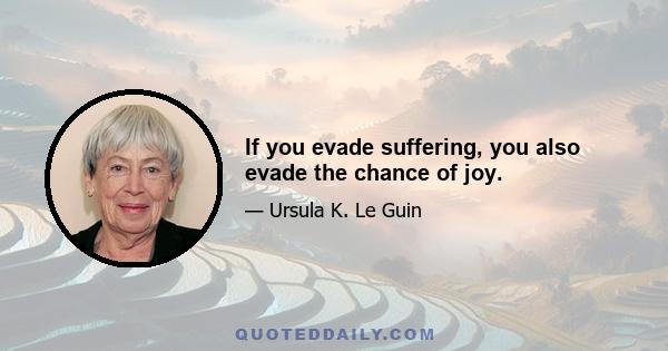 If you evade suffering, you also evade the chance of joy.