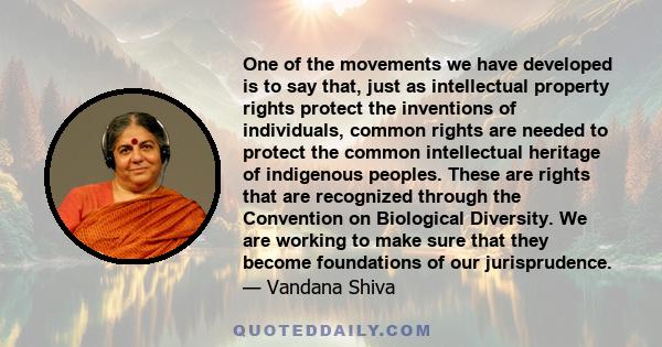 One of the movements we have developed is to say that, just as intellectual property rights protect the inventions of individuals, common rights are needed to protect the common intellectual heritage of indigenous