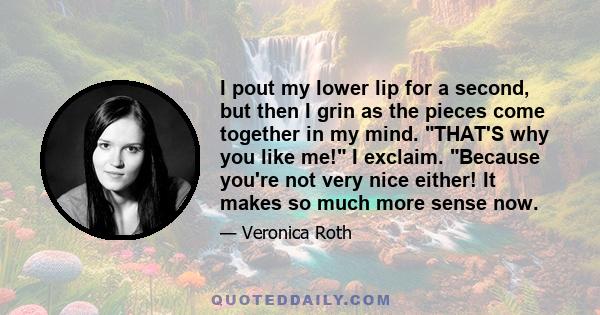 I pout my lower lip for a second, but then I grin as the pieces come together in my mind. THAT'S why you like me! I exclaim. Because you're not very nice either! It makes so much more sense now.