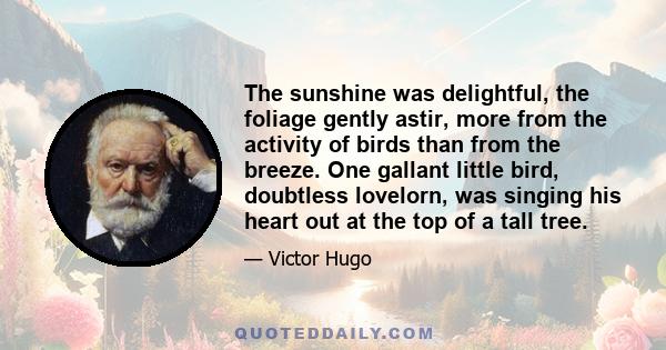 The sunshine was delightful, the foliage gently astir, more from the activity of birds than from the breeze. One gallant little bird, doubtless lovelorn, was singing his heart out at the top of a tall tree.