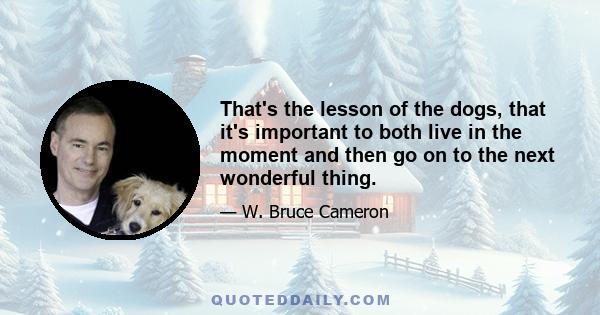 That's the lesson of the dogs, that it's important to both live in the moment and then go on to the next wonderful thing.