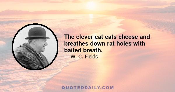 The clever cat eats cheese and breathes down rat holes with baited breath.