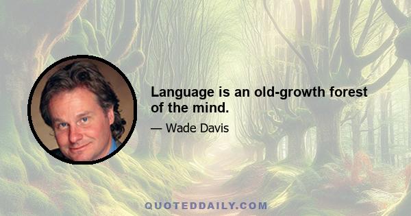 Language is an old-growth forest of the mind.