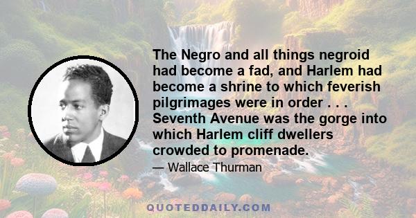 The Negro and all things negroid had become a fad, and Harlem had become a shrine to which feverish pilgrimages were in order . . . Seventh Avenue was the gorge into which Harlem cliff dwellers crowded to promenade.