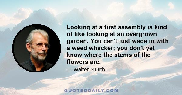 Looking at a first assembly is kind of like looking at an overgrown garden. You can't just wade in with a weed whacker; you don't yet know where the stems of the flowers are.