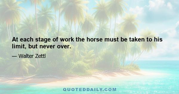 At each stage of work the horse must be taken to his limit, but never over.