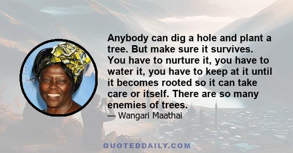 Anybody can dig a hole and plant a tree. But make sure it survives. You have to nurture it, you have to water it, you have to keep at it until it becomes rooted so it can take care or itself. There are so many enemies