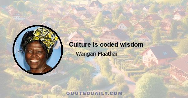 Culture is coded wisdom