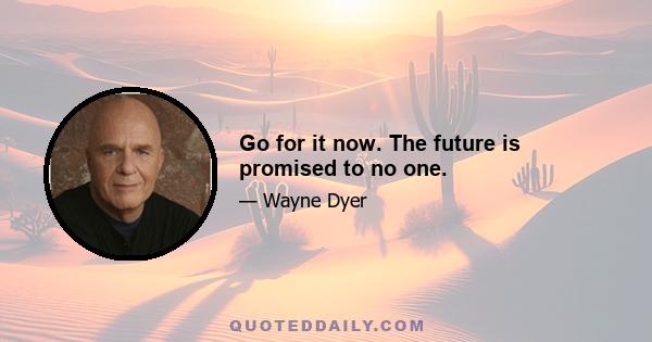 Go for it now. The future is promised to no one.