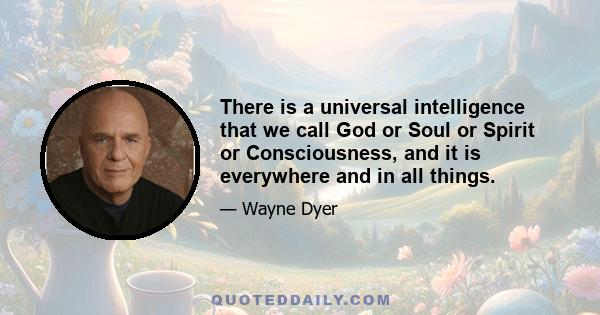 There is a universal intelligence that we call God or Soul or Spirit or Consciousness, and it is everywhere and in all things.