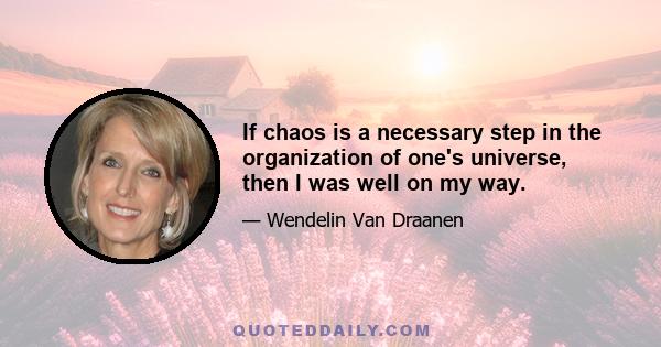 If chaos is a necessary step in the organization of one's universe, then I was well on my way.