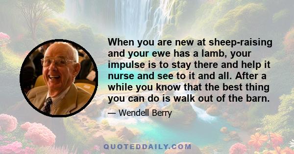 When you are new at sheep-raising and your ewe has a lamb, your impulse is to stay there and help it nurse and see to it and all. After a while you know that the best thing you can do is walk out of the barn.