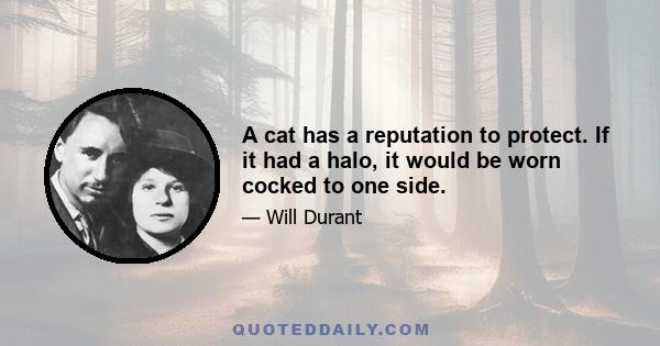 A cat has a reputation to protect. If it had a halo, it would be worn cocked to one side.