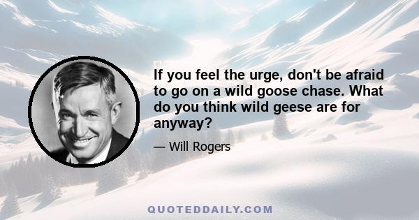 If you feel the urge, don't be afraid to go on a wild goose chase. What do you think wild geese are for anyway?