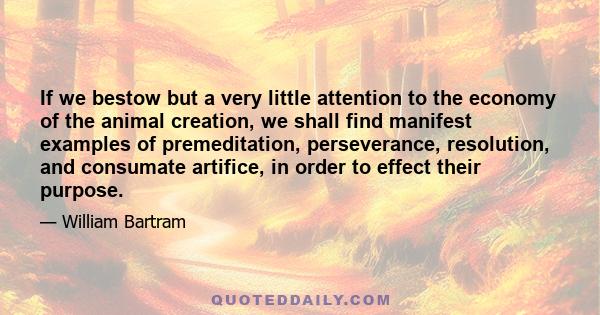 If we bestow but a very little attention to the economy of the animal creation, we shall find manifest examples of premeditation, perseverance, resolution, and consumate artifice, in order to effect their purpose.