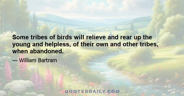 Some tribes of birds will relieve and rear up the young and helpless, of their own and other tribes, when abandoned.