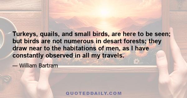 Turkeys, quails, and small birds, are here to be seen; but birds are not numerous in desart forests; they draw near to the habitations of men, as I have constantly observed in all my travels.