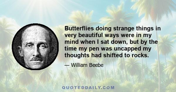 Butterflies doing strange things in very beautiful ways were in my mind when I sat down, but by the time my pen was uncapped my thoughts had shifted to rocks.