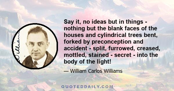 Say it, no ideas but in things - nothing but the blank faces of the houses and cylindrical trees bent, forked by preconception and accident - split, furrowed, creased, mottled, stained - secret - into the body of the