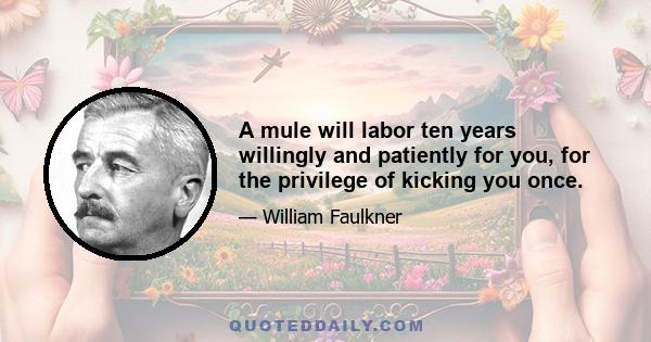 A mule will labor ten years willingly and patiently for you, for the privilege of kicking you once.