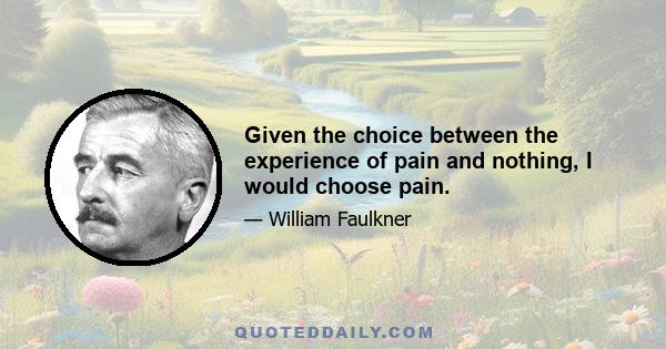 Given the choice between the experience of pain and nothing, I would choose pain.