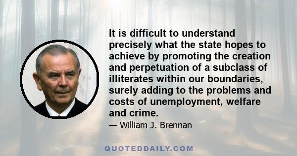 It is difficult to understand precisely what the state hopes to achieve by promoting the creation and perpetuation of a subclass of illiterates within our boundaries, surely adding to the problems and costs of