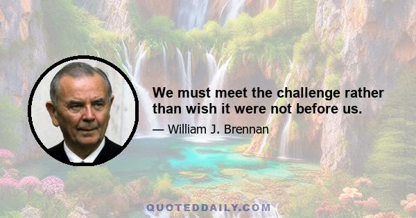 We must meet the challenge rather than wish it were not before us.