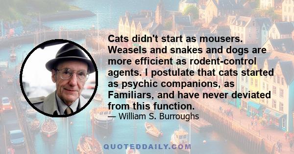 Cats didn't start as mousers. Weasels and snakes and dogs are more efficient as rodent-control agents. I postulate that cats started as psychic companions, as Familiars, and have never deviated from this function.