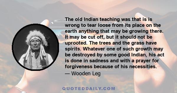 The old Indian teaching was that is is wrong to tear loose from its place on the earth anything that may be growing there. It may be cut off, but it should not be uprooted. The trees and the grass have spirits. Whatever 