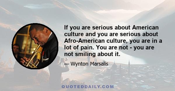 If you are serious about American culture and you are serious about Afro-American culture, you are in a lot of pain. You are not - you are not smiling about it.