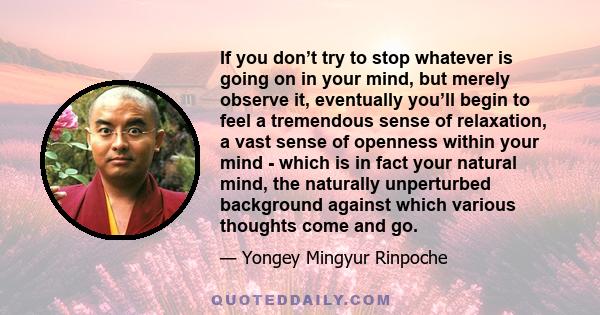 If you don’t try to stop whatever is going on in your mind, but merely observe it, eventually you’ll begin to feel a tremendous sense of relaxation, a vast sense of openness within your mind - which is in fact your