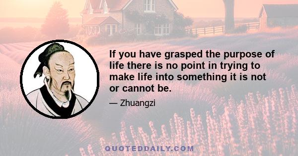 If you have grasped the purpose of life there is no point in trying to make life into something it is not or cannot be.