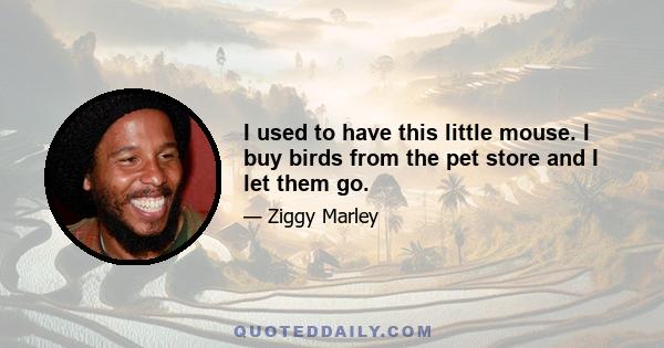 I used to have this little mouse. I buy birds from the pet store and I let them go.