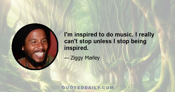 I'm inspired to do music. I really can't stop unless I stop being inspired.