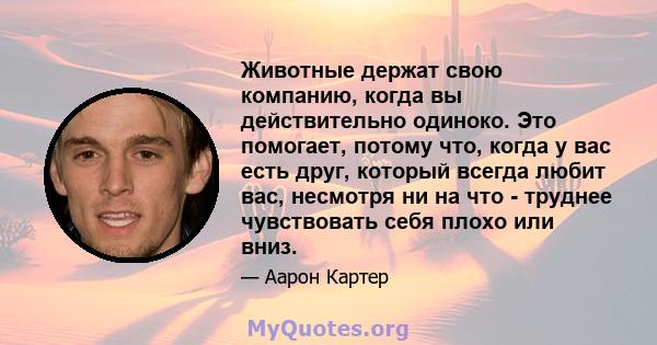 Животные держат свою компанию, когда вы действительно одиноко. Это помогает, потому что, когда у вас есть друг, который всегда любит вас, несмотря ни на что - труднее чувствовать себя плохо или вниз.